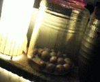 12171906_115.jpg