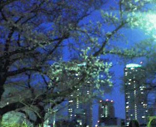 13522192_208.jpg