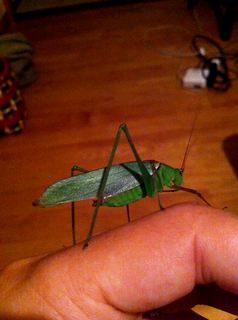 2012-07-24 00.07.29.jpg